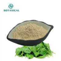 Ecdysterone spinātu ekstrakts