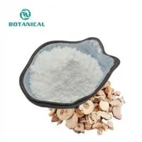 Slaucīšanas pulveris