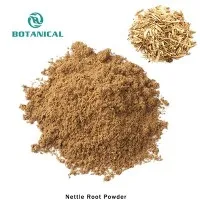 Nātru sakņu pulveris